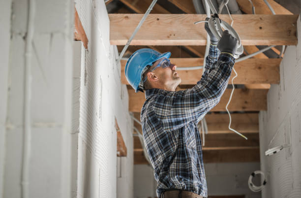 Best Electric Panel Repair  in Honey Grove, TX
